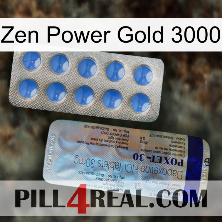 Zen Power Gold 3000 39